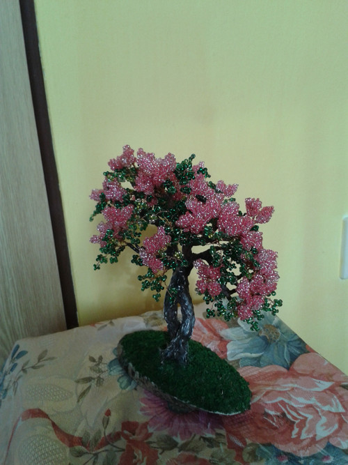 Pink šeřík — foto 5