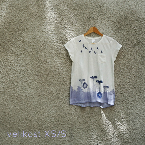 Blue-and-white II — foto 5