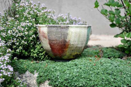 RAKU miska: Pozdní jaro — foto 4
