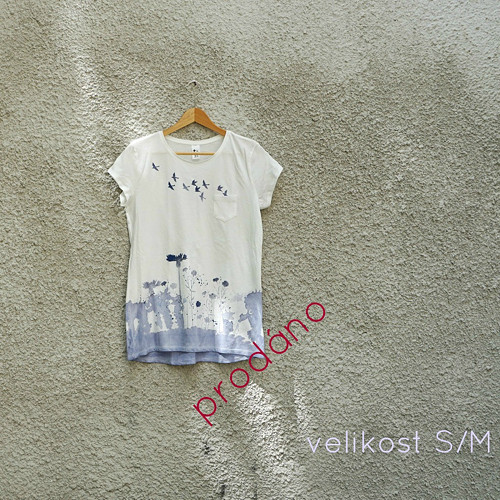 Blue-and-white II — foto 6