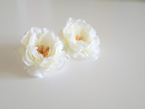 Pure — foto 2