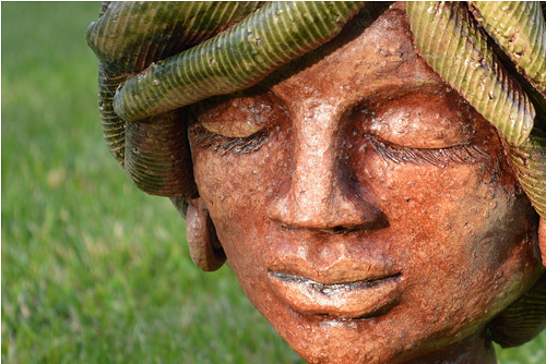 Kytková hlava 1 — foto 2