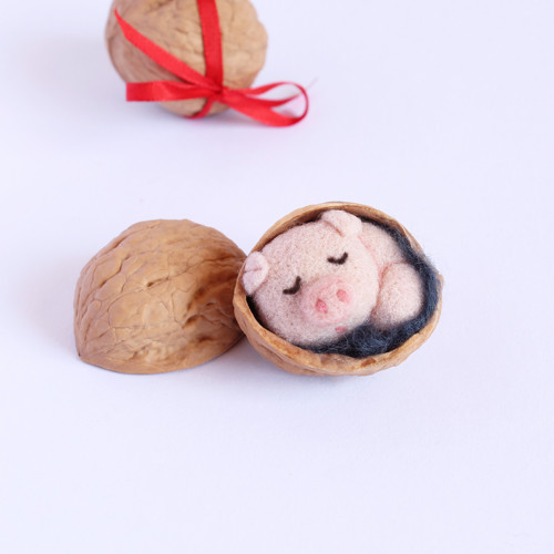 Mini prasátko ve skořápce — foto 3