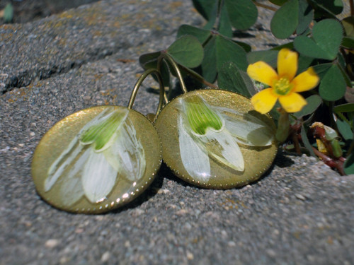 Sněženky — foto 2