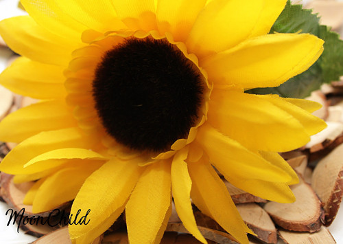 Sunny! - čelenka — foto 2
