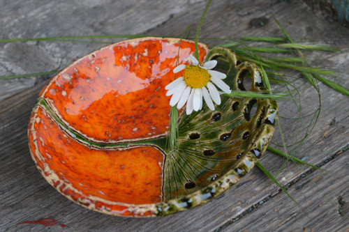 Oranžová miska — foto 4