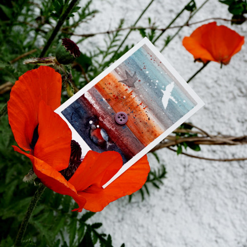 Makové drobnosti — foto 3