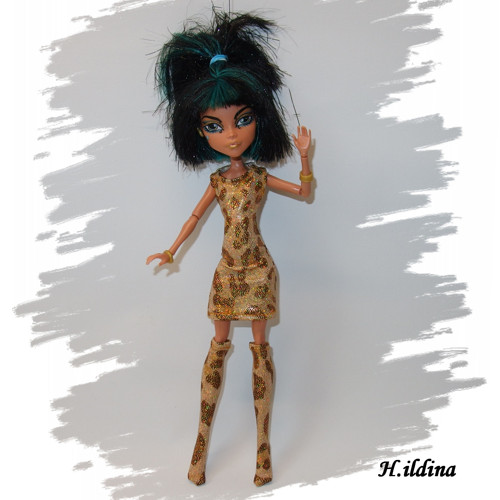 Šaty a podkolenky pro MONSTER HIGH — foto 2