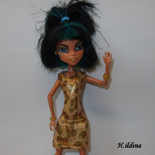 Šaty a podkolenky pro MONSTER HIGH — foto 3