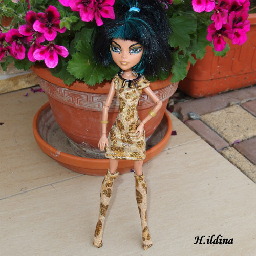 Šaty a podkolenky pro MONSTER HIGH — foto 4