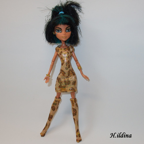 Šaty a podkolenky pro MONSTER HIGH — foto 6