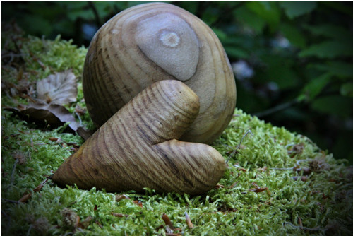 Dubové dlachňadlo — foto 2