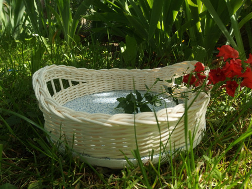 Bílá, něžná ošatka — foto 2