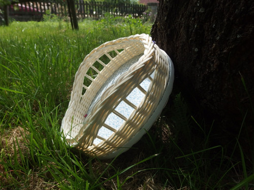 Bílá, něžná ošatka — foto 5