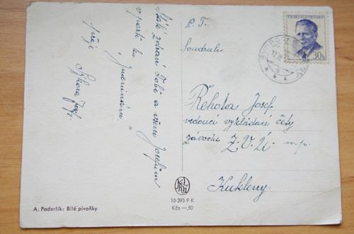 A.Paderlík- Bílé pivoňky — foto 2