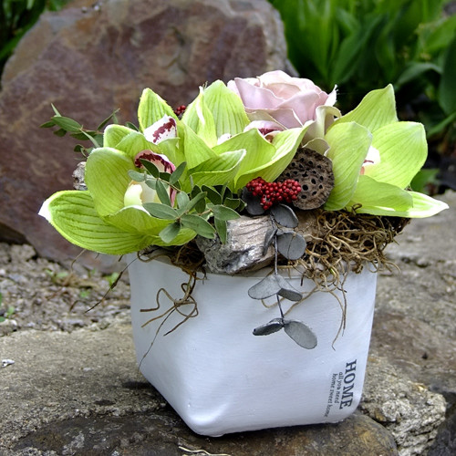 Dekorace - Zelená orchidea — foto 2