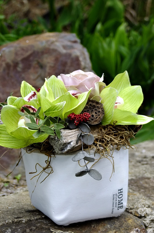 Dekorace - Zelená orchidea — foto 4