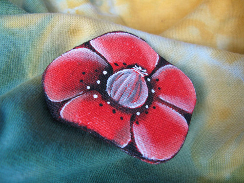 Máček do klopy :))) — foto 3