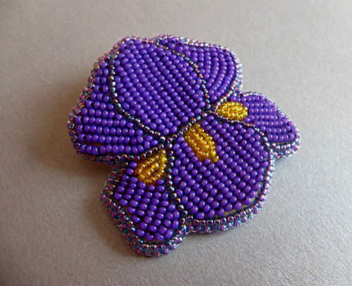 Iris — foto 2