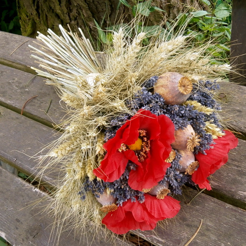 Čas vlčích máků 2 — foto 3