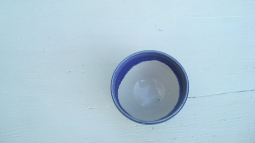 Malý modrý — foto 5
