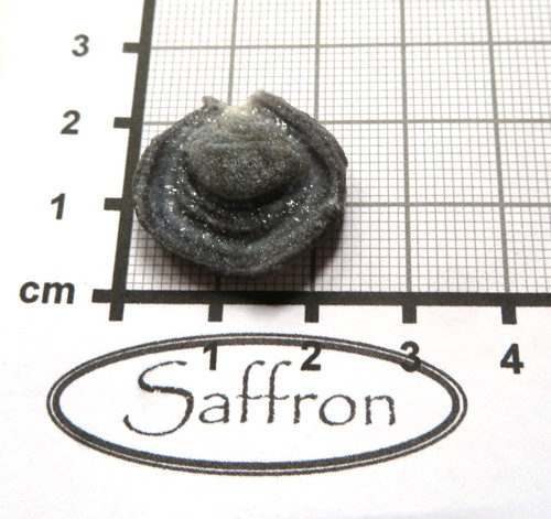 Menší chalcedonová růže č.10 — foto 2