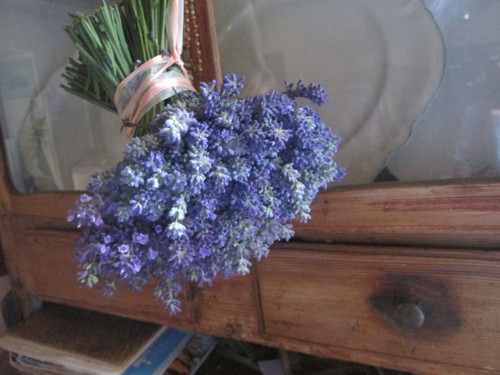 Levandulový snop,samostojící — foto 2