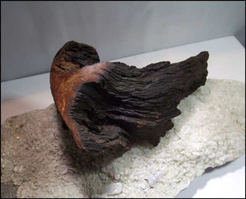 Morriganin let — foto 2