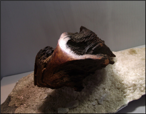 Morriganin let — foto 3