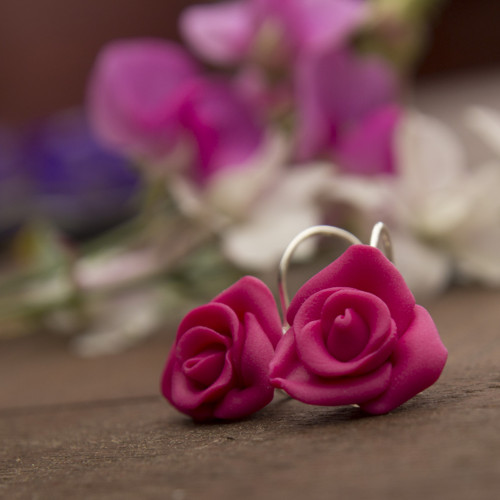 Růže - malinové — foto 6