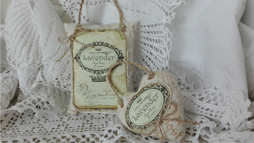 Srdínko lavender — foto 3