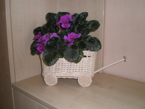 Vozík k dekoraci — foto 2