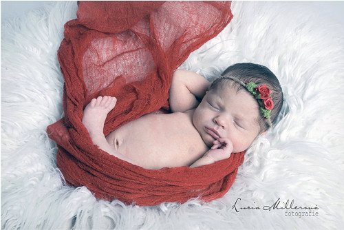 Čelenka s červenými růžičkami — foto 2