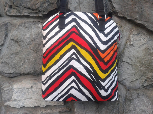 Barevná zebra — foto 2