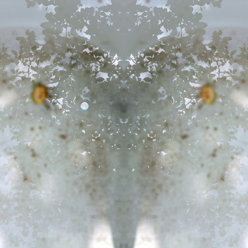 Sovice ... (30 x 30 cm). — foto 2