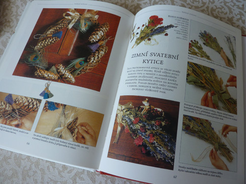 Sušené květiny — foto 3