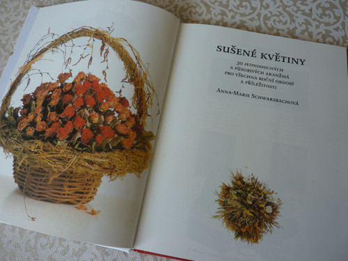 Sušené květiny — foto 4