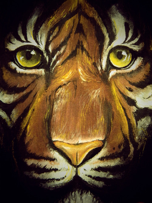 Eyes of the tiger — foto 3