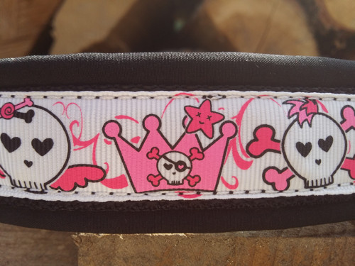 Obojek Dinofashion Princess softshell — foto 2