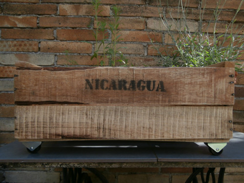Coffee Box Nicaragua — foto 2