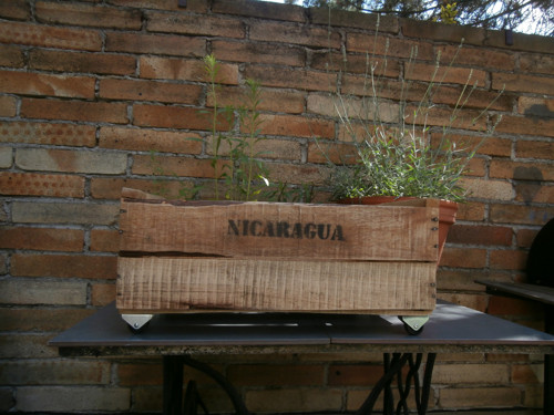 Coffee Box Nicaragua — foto 3