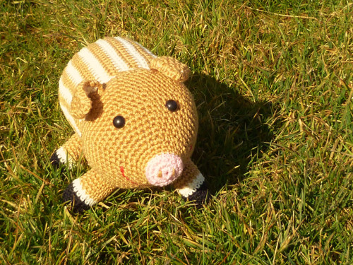 Prasátko Vašík — foto 6