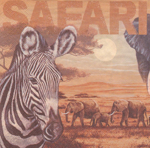 Ubrousek - safari — foto 2