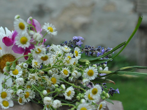 Šatky Elizabeth/Kvetoucí — foto 5