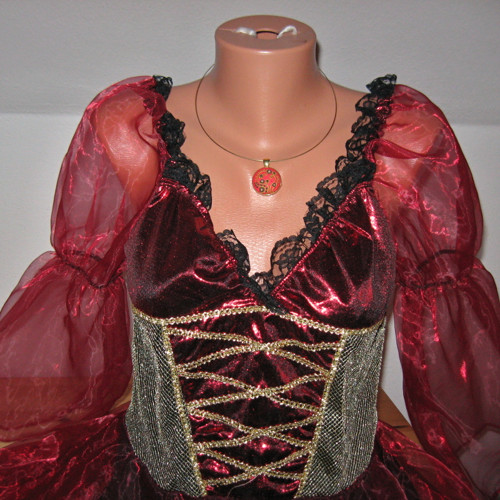 Krásná harlekýnka 10960 — foto 2