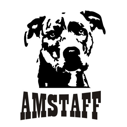 Tričko Amstaff — foto 3