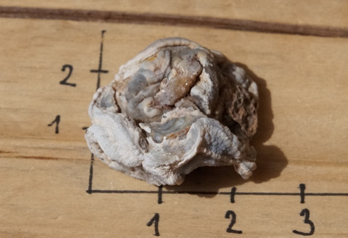 Hadí achát - chalcedonová růže D5073 — foto 4