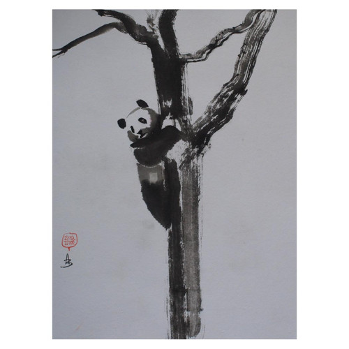 Panda na stromě — foto 2