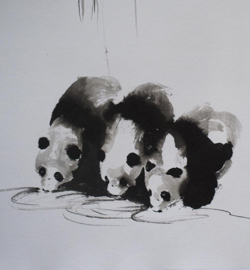 Pandy u vody — foto 2