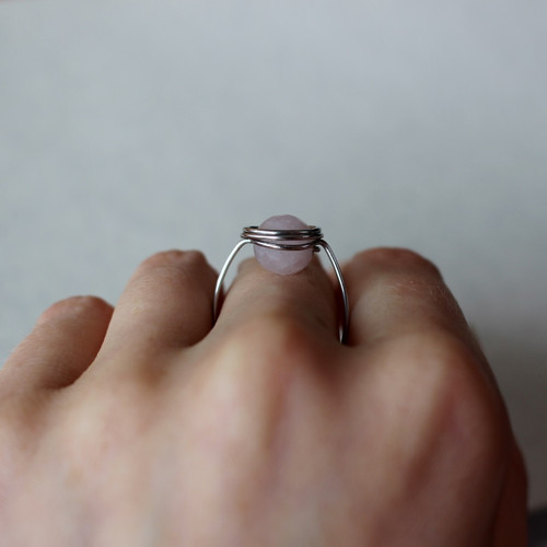Růženínový sen na přání • chir. ocel — foto 5